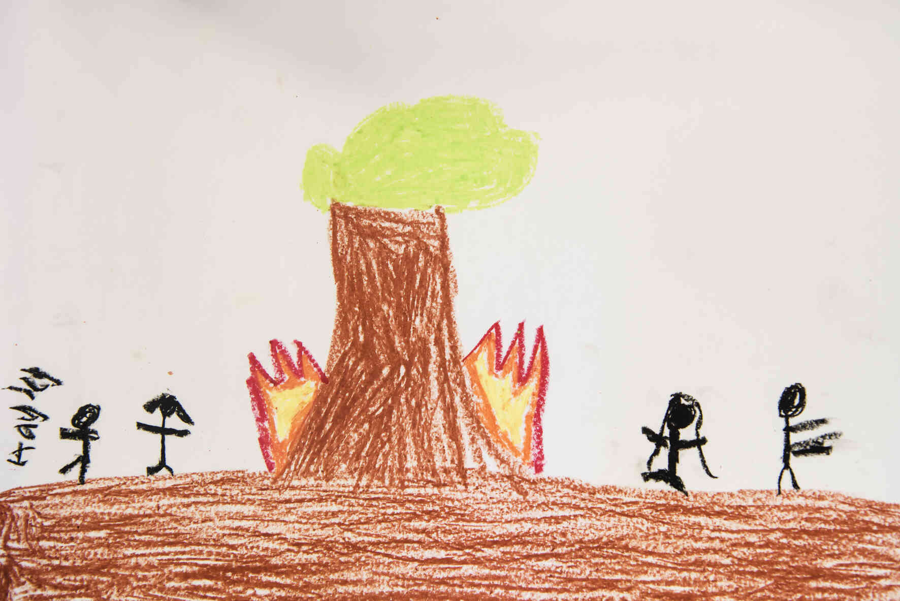 A drawing of a burning tree, for the Bushfire Response Program