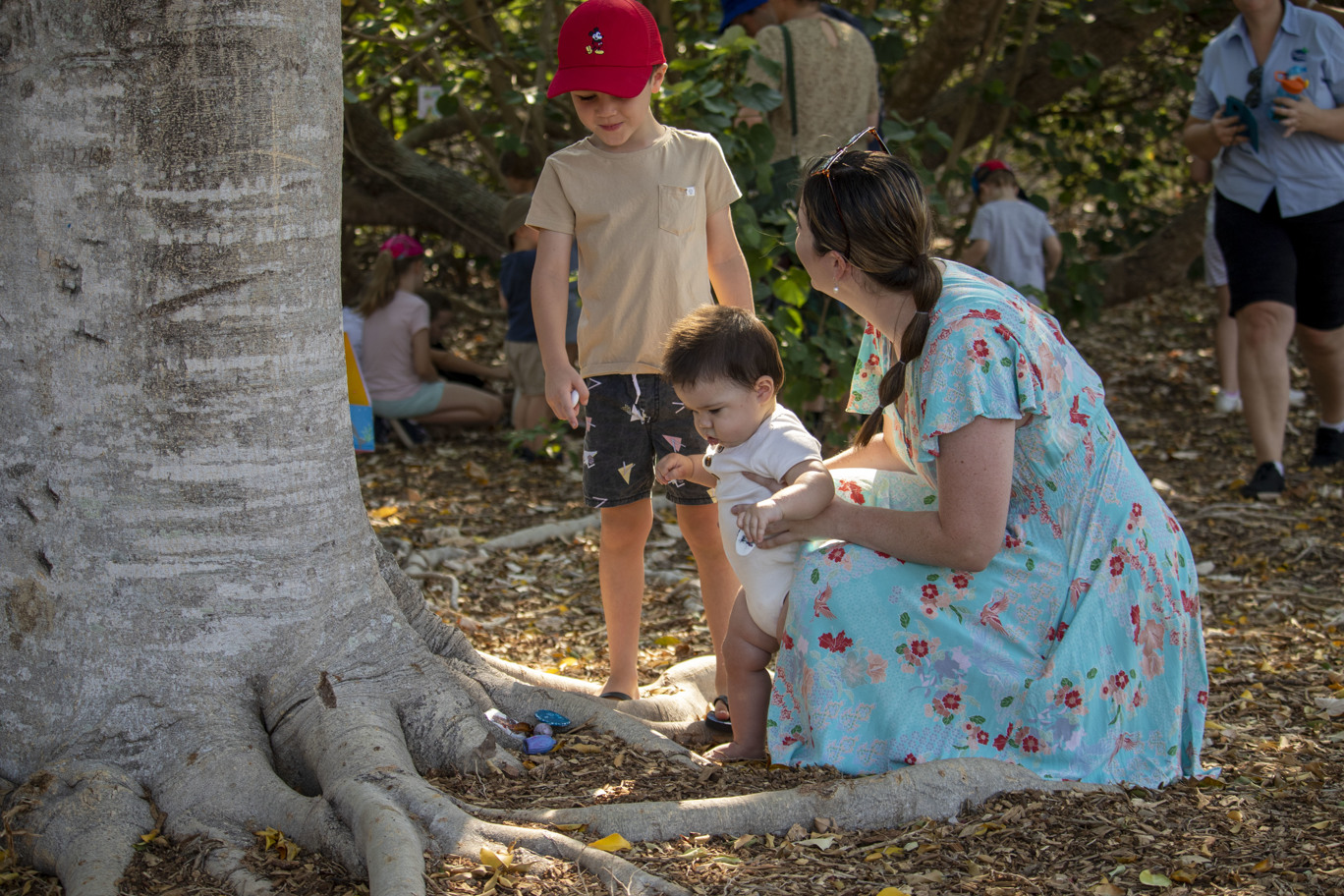 An adult with two young children, looking at a tree