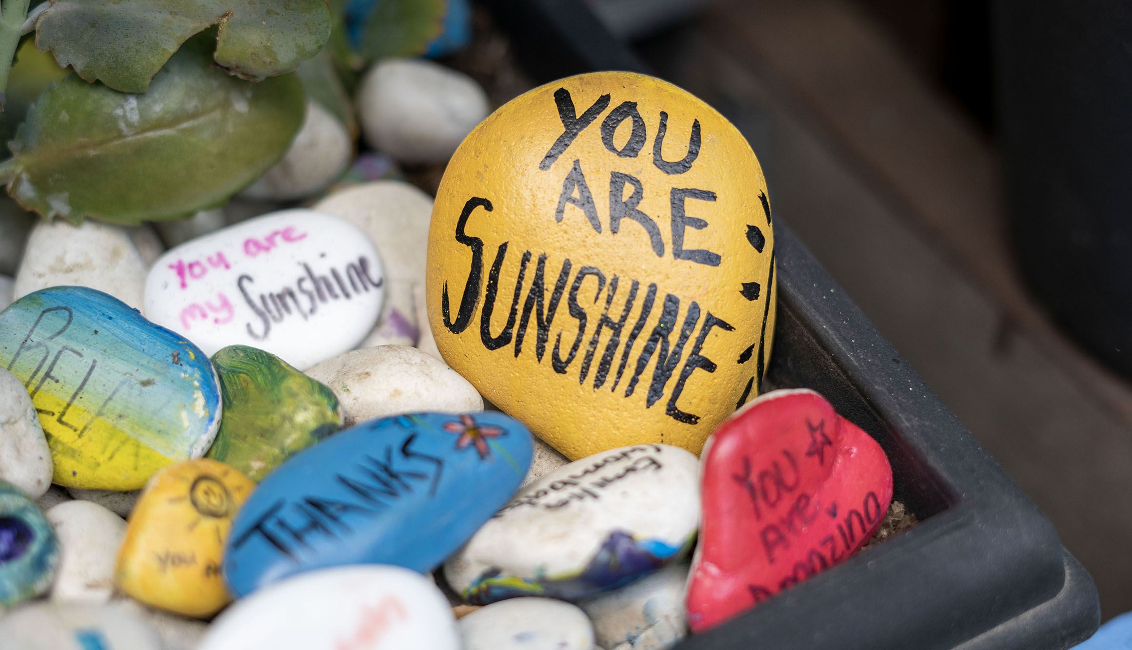 A collection of painted rocks. The biggest rock is yellow with the words 'you are sunshine'.