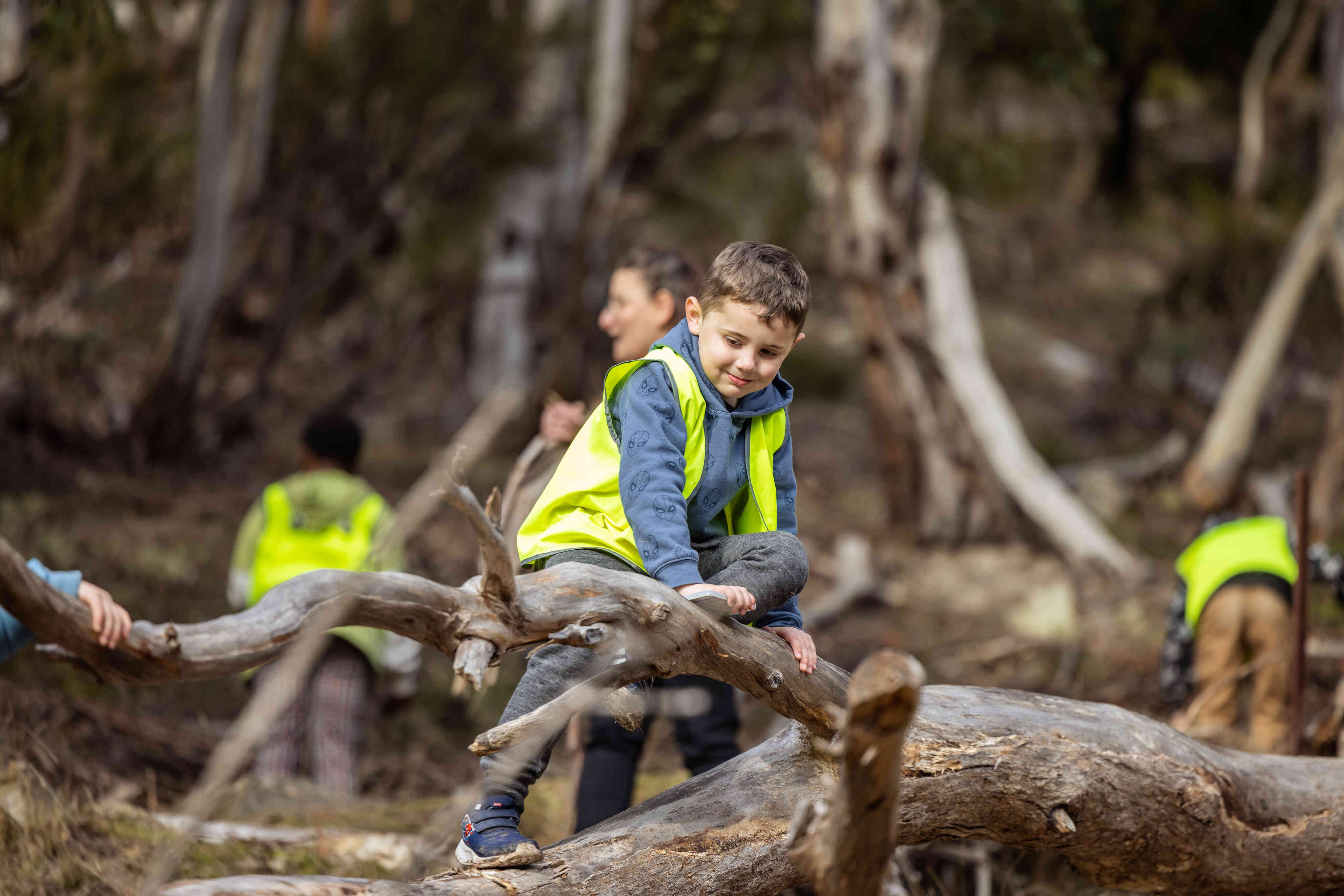 A child climbs a tree